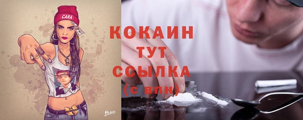 дживик Магас