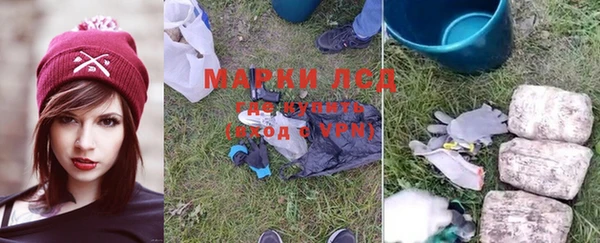 шишки Магадан