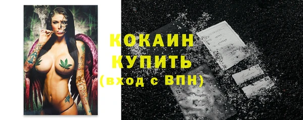 шишки Магадан
