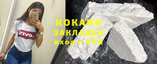 шишки Магадан