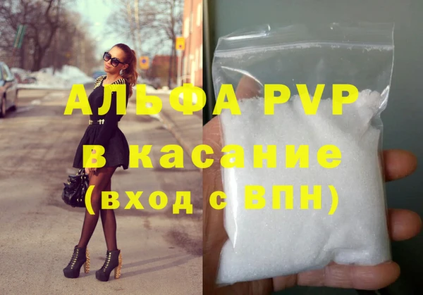 шишки Магадан