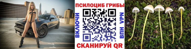 Псилоцибиновые грибы мухоморы Крым